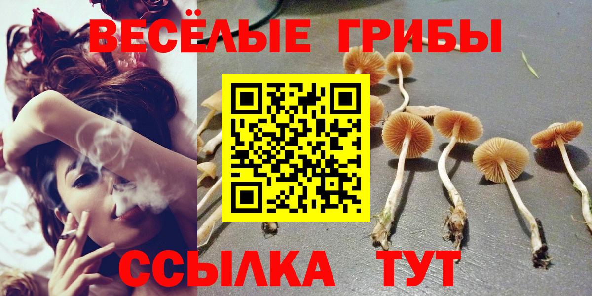 Галлюциногенные грибы мицелий Моздок