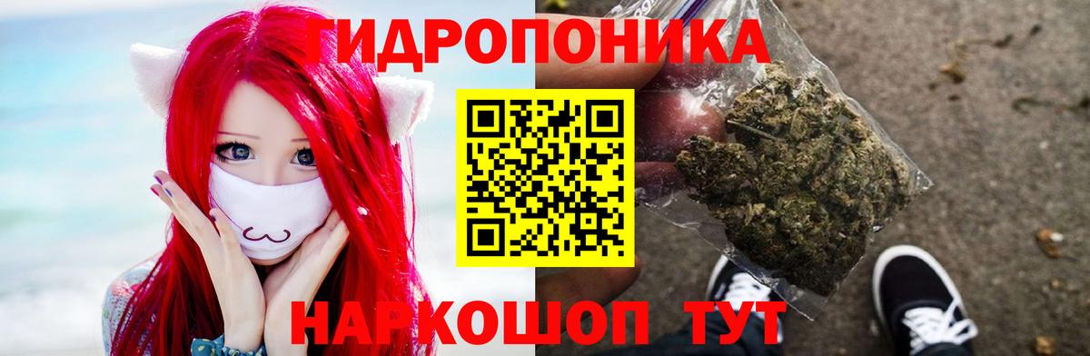 МАРИХУАНА ГИДРОПОН  МАРИХУАНА VHQ  Конопля конопля  Моздок  Вход с VPN 