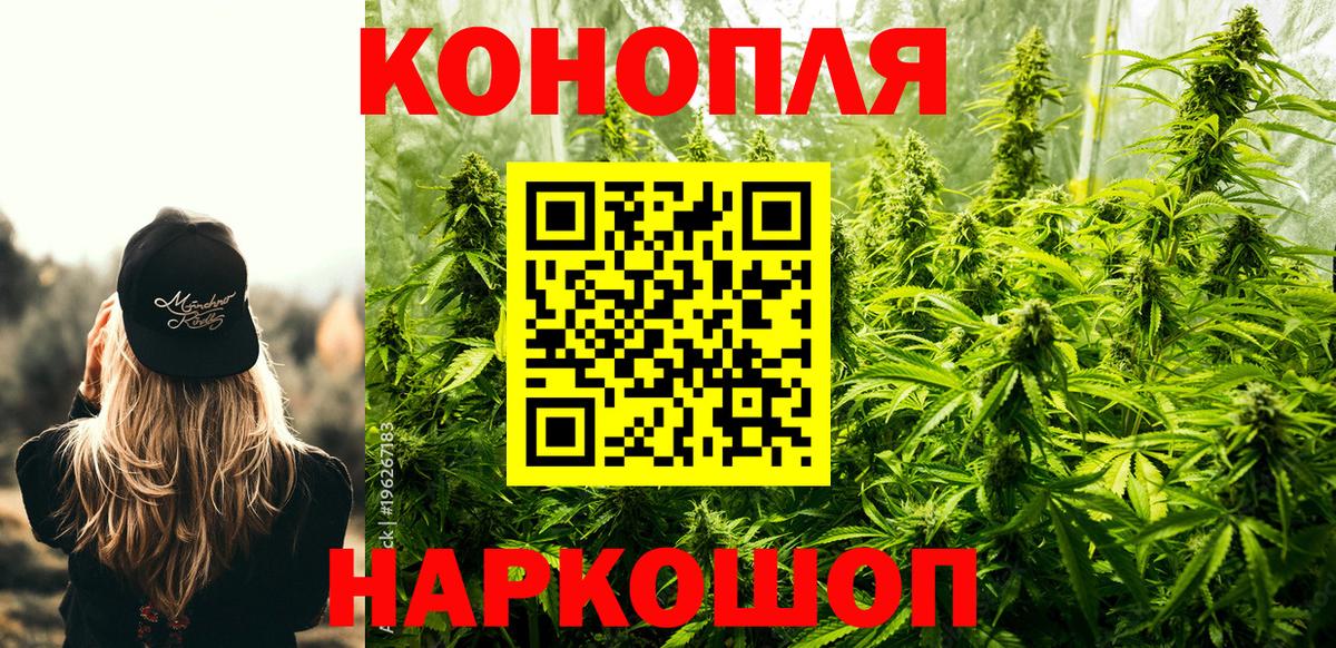 МАРИХУАНА сатива Моздок